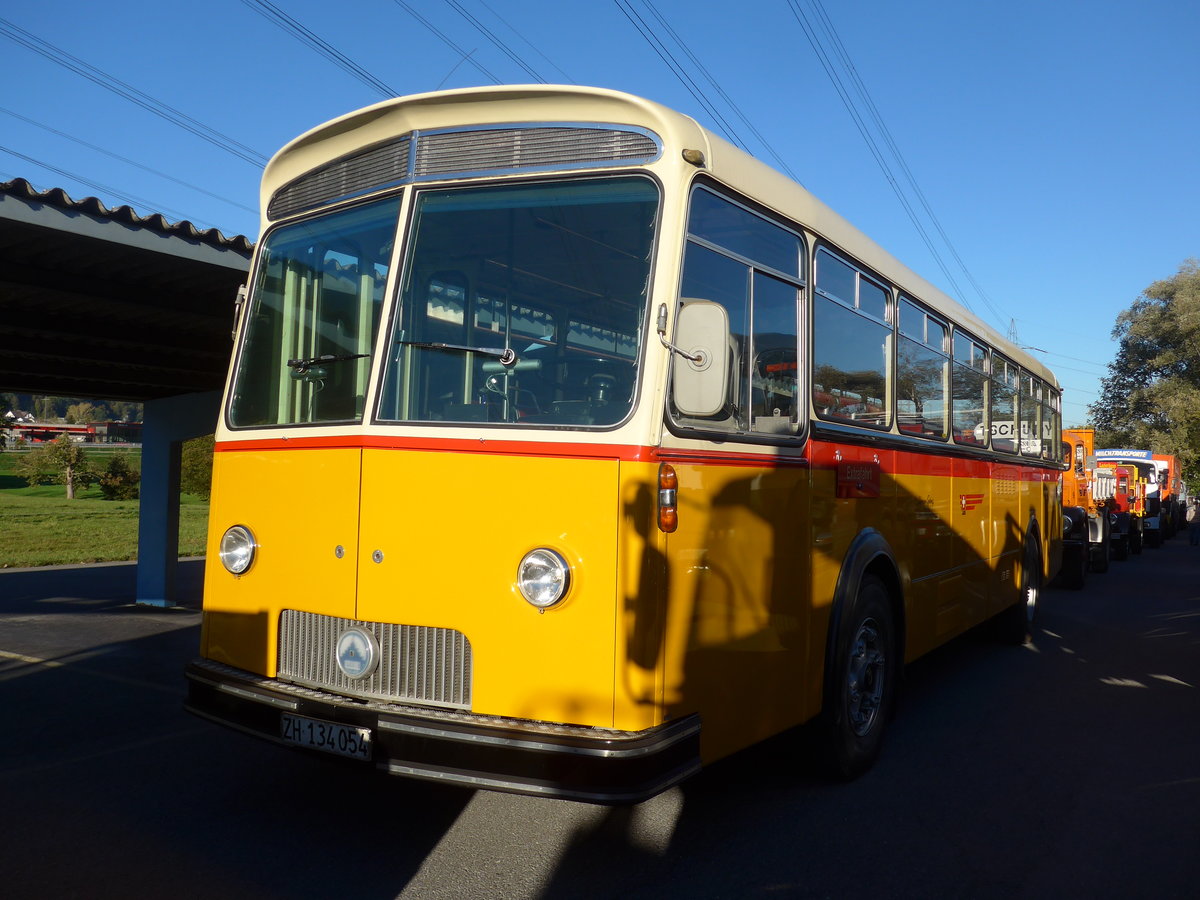 (198'136) - Gehrig, Rudolfstetten - ZH 134'054 - Saurer/Saurer (ex Guggenb�hl, Eschenbach; ex Hugener, Stein; ex Moser, Preonzo; ex Geiger, Adelboden Nr. 20; ex P 25'534) am 13. Oktober 2018 in Sch�nis, Bicoareal