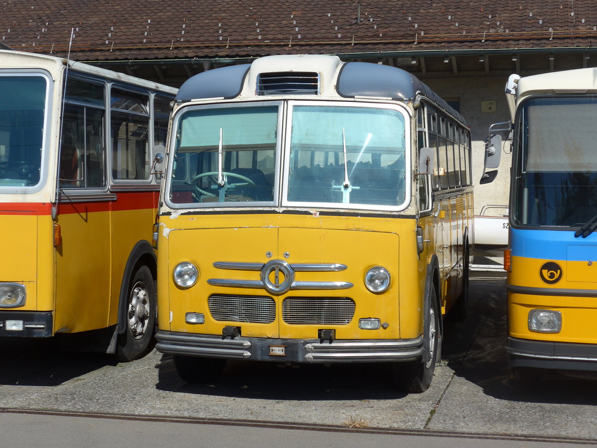 (198'248) - Oldie-Tours Z�risee, Wollerau - Nr. 21 - Saurer/Saurer (ex Marchetti, Airolo; ex P 24'119) am 13. Oktober 2018 in Uznach, Garage