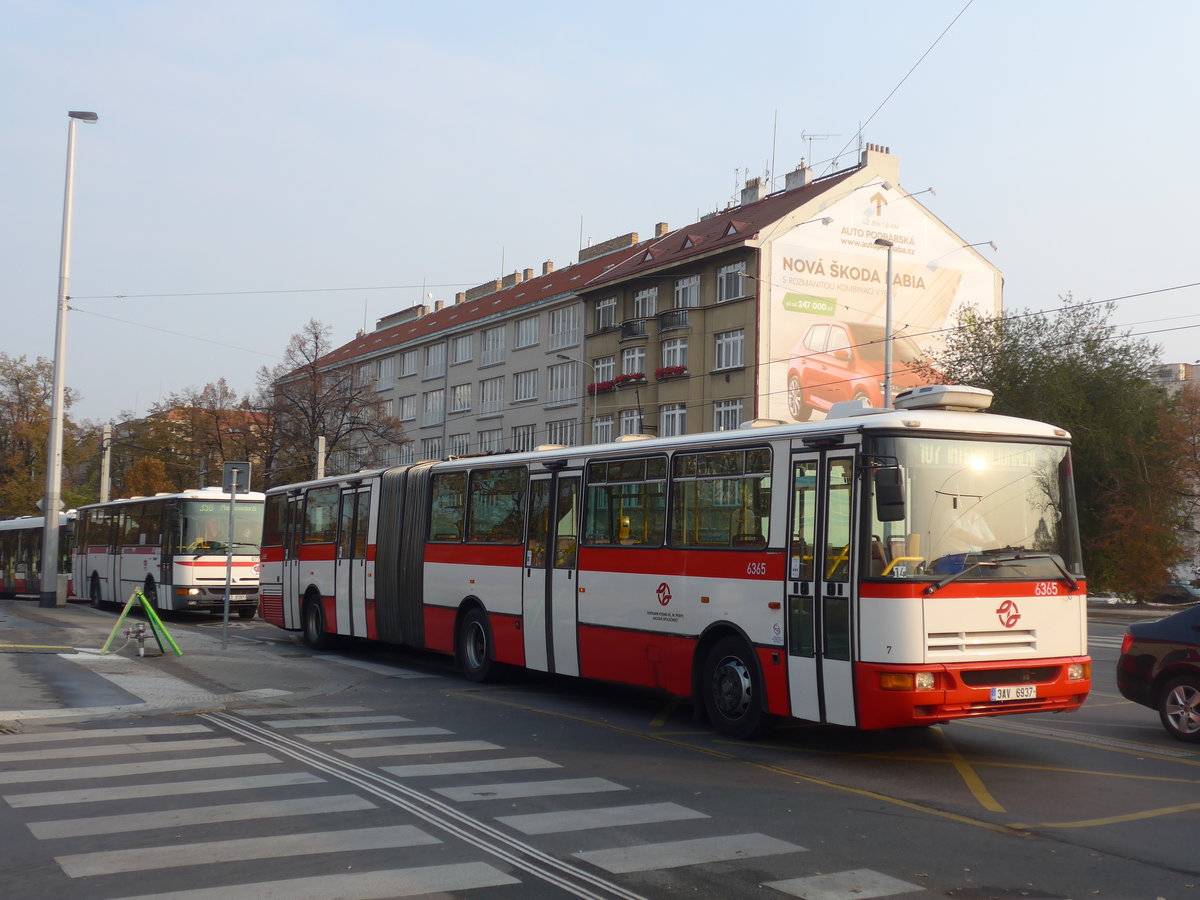 (198'483) - DPP Praha - Nr. 6365/3AV 6937 - Karosa am 19. Oktober 2018 in Praha, Dejvick�