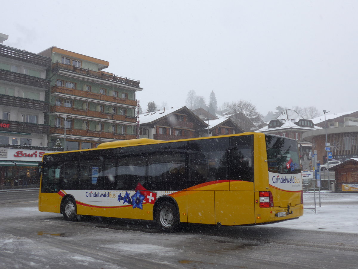 (199'887) - AVG Grindelwald - Nr. 14/BE 202'568 - MAN/G�ppel am 10. Dezember 2018 beim Bahnhof Grindelwald