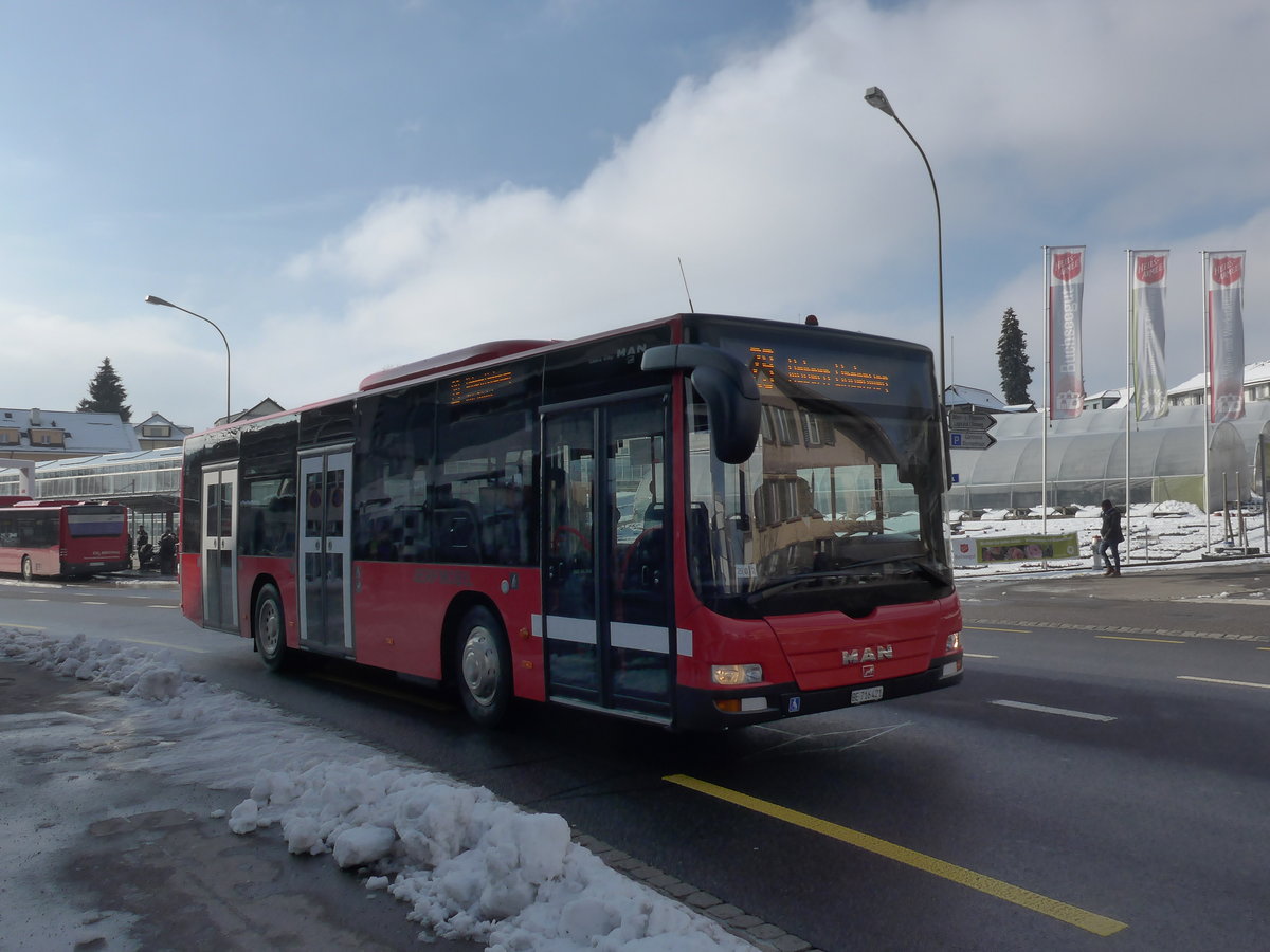 (201'451) - Bernmobil, Bern - Nr. 421/BE 716'412 - MAN am 4. Februar 2019 in K�niz, Weiermatt