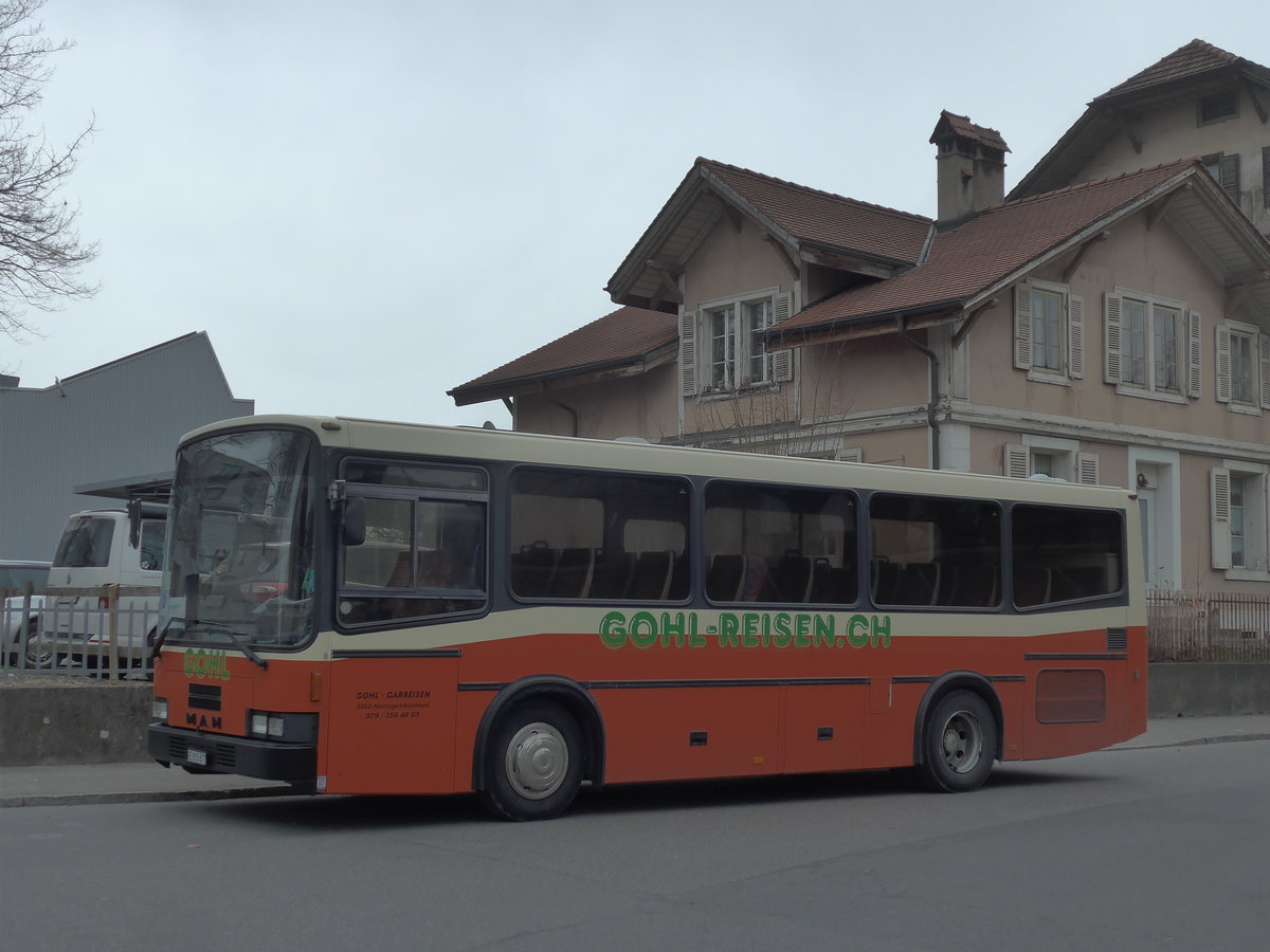 (201'802) - Gohl, Herzogenbuchsee - BE 815'877 - MAN/Lauber (ex AMSA Chiasso Nr. 19; ex Tresch, Amsteg) am 1. M�rz 2019 in Thun, Expo