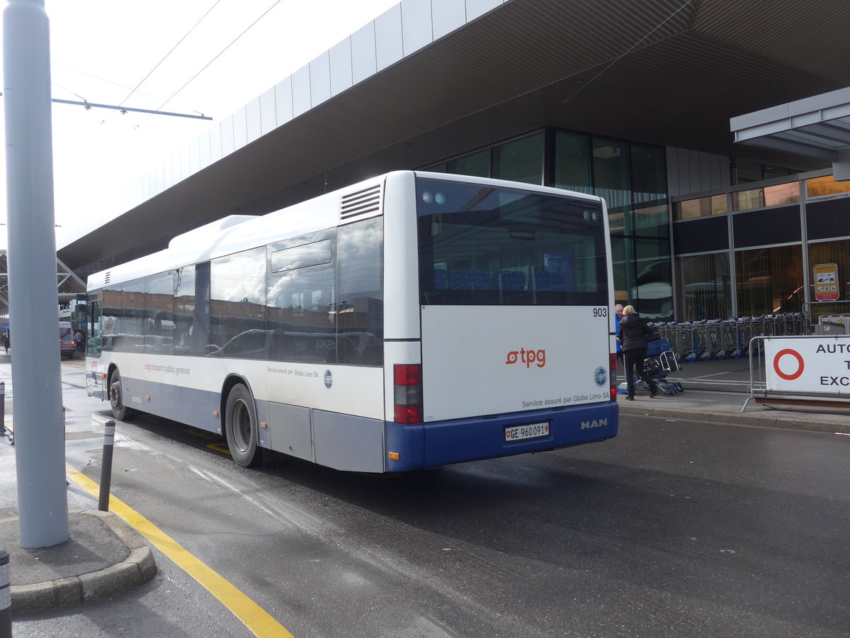 (202'288) - Globe-Limo, Gen�ve - Nr. 903/GE 960'091 - MAN am 11. M�rz 2019 in Gen�ve, A�roport