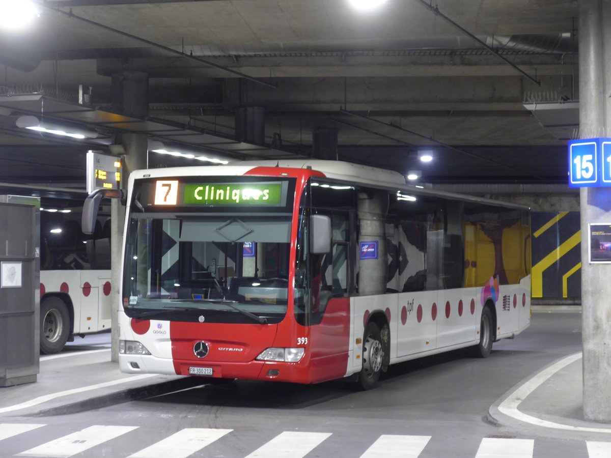 (203'059) - TPF Fribourg - Nr. 393/FR 300'212 - Mercedes (ex Nr. 801) am 24. M�rz 2019 in Fribourg, Busbahnhof