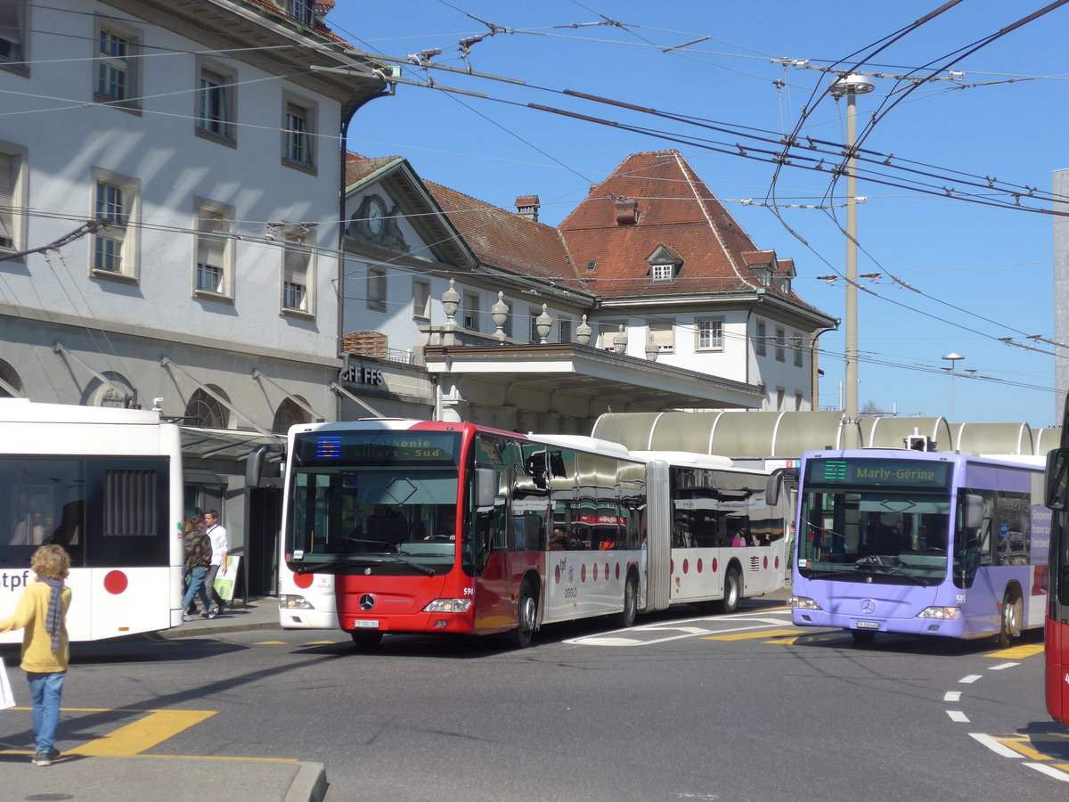 (203'249) - TPF Fribourg - Nr. 590/FR 300'380 - Mercedes am 24. M�rz 2019 beim Bahnhof Fribourg