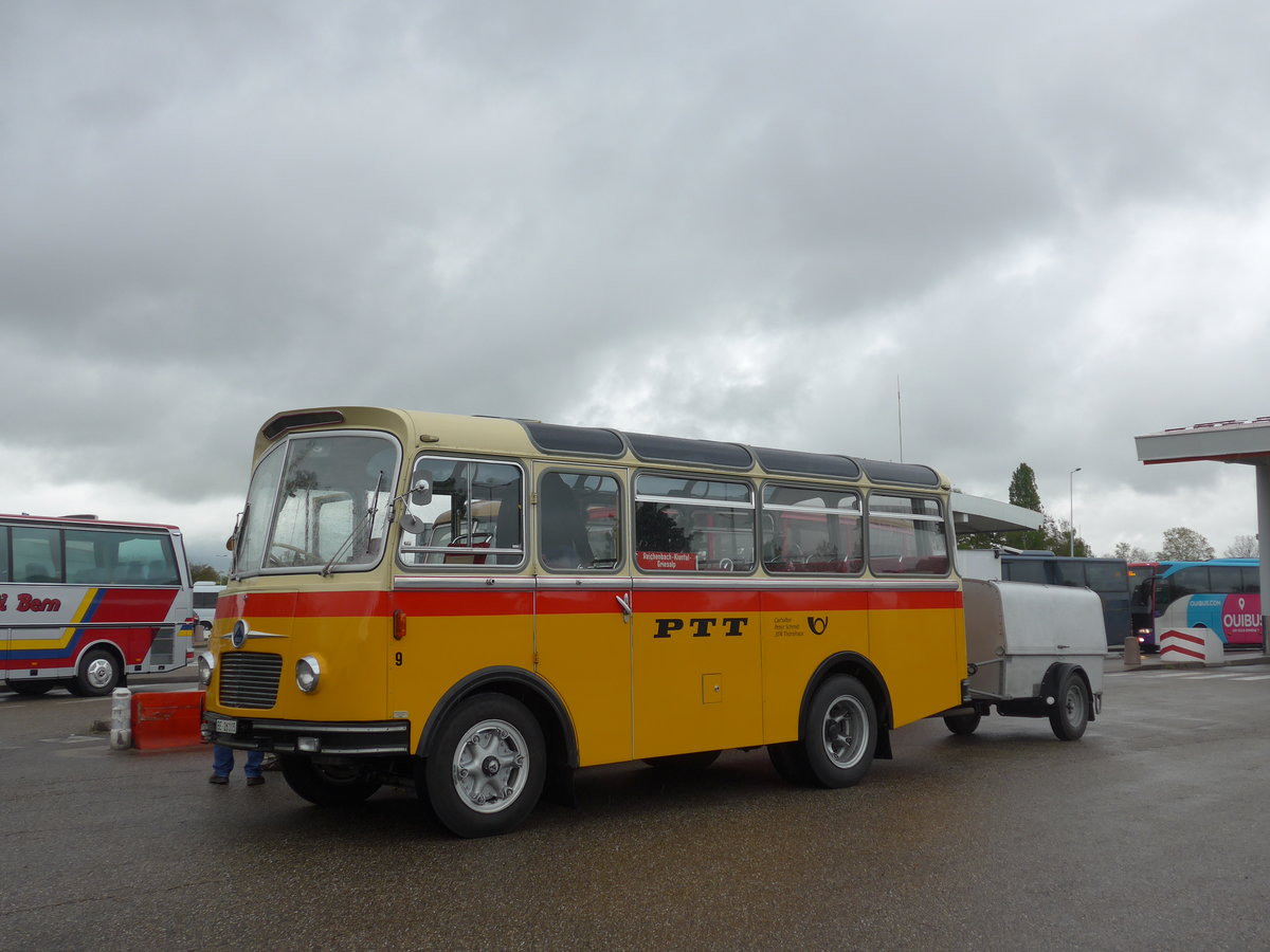 (203'918) - Aus der Schweiz: Schmid, Th�rishaus - Nr. 9/BE 26'105 - Saurer/R&J (ex Geiger, Adelboden Nr. 9) am 26. April 2019 in Orschwiller, Rastst�tte