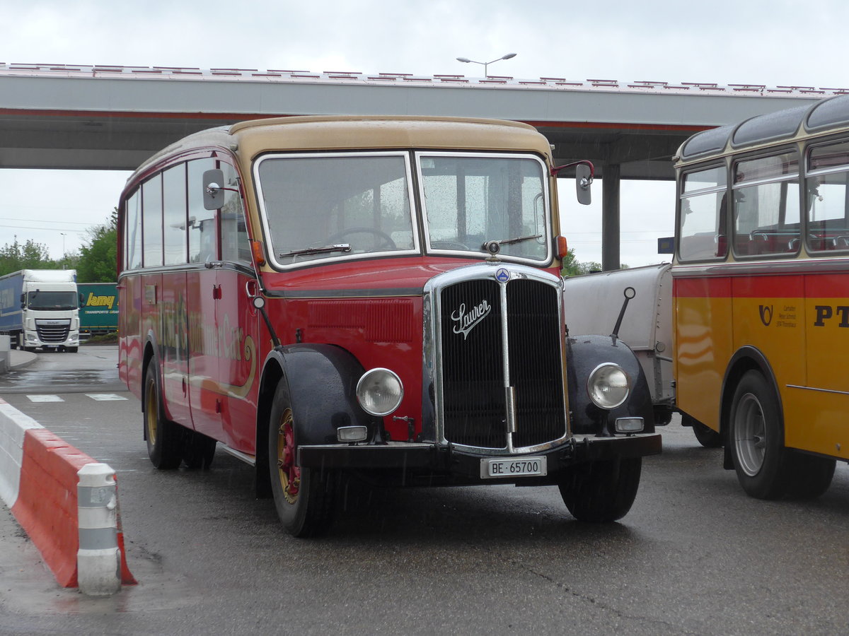 (203'925) - Aus der Schweiz: Dysli, Bern - Nr. 19/BE 65'700 - Saurer/Saurer (ex P 23'085; ex P 2137) am 26. April 2019 in Orschwiller, Rastst�tte