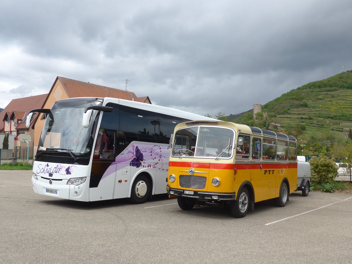 (204'546) - Aus der Schweiz: Schmid, Th�rishaus - Nr. 9/BE 26'105 - Saurer/R&J (ex Geiger, Adelboden Nr. 9) am 28. April 2019 in Kaysersberg, Rocade Verte