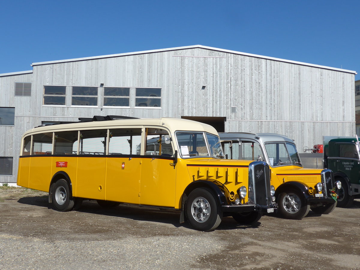 (205'757) - Baumgartner, Horn - SG 329'300 - Saurer/T�scher (ex Bucheli, Kriens Nr. 10; ex Gr�ni, Udligenswil) am 8. Juni 2019 in Thayngen, Saurertreffen 