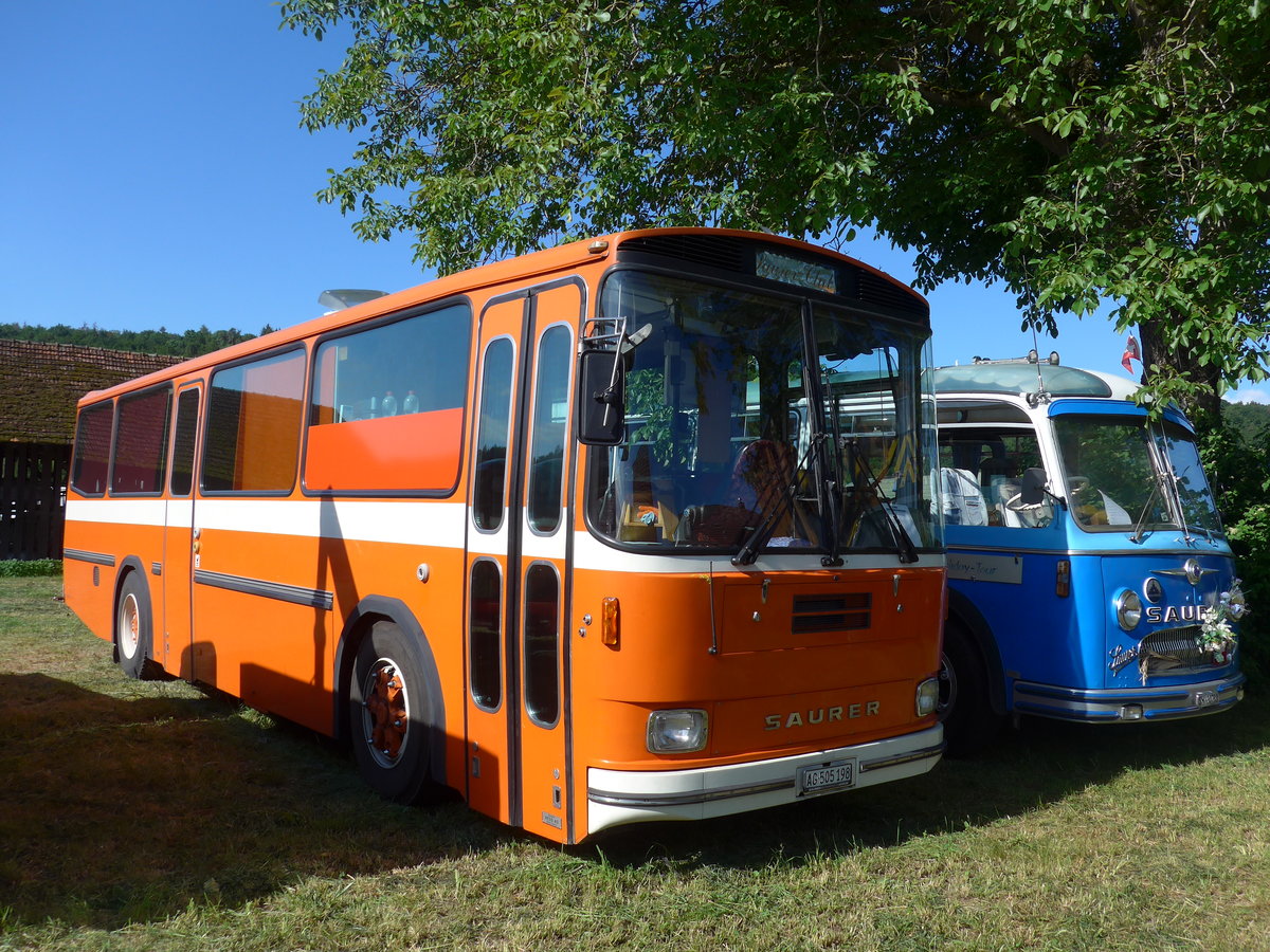 (205'764) - Mangold, Oberengstringen - AG 505'198 - Saurer/Hess (ex RhV Altst�tten Nr. 45) am 8. Juni 2019 in Thayngen, Saurertreffen