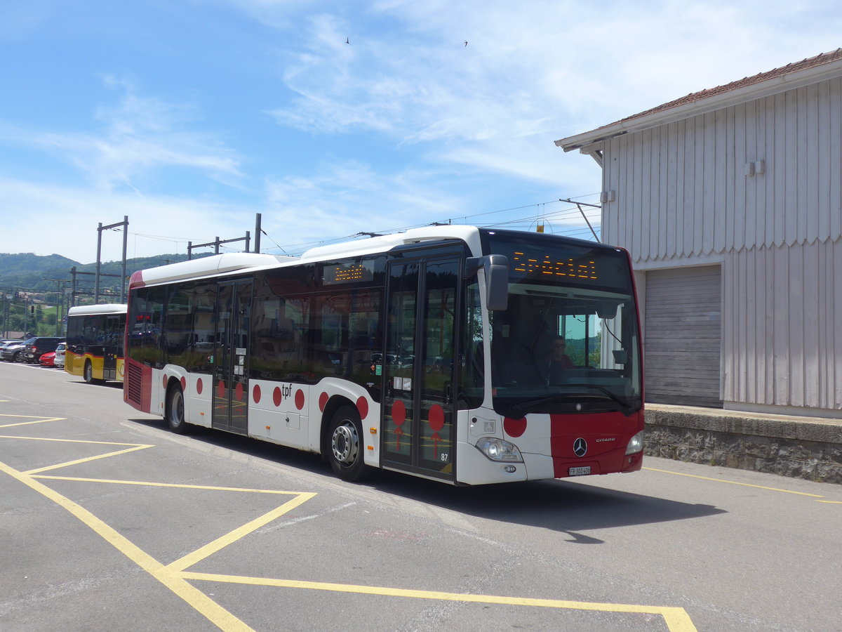 (206'798) - TPF Fribourg - Nr. 87/FR 300'406 - Mercedes am 24. Juni 2019 beim Bahnhof Pal�zieux