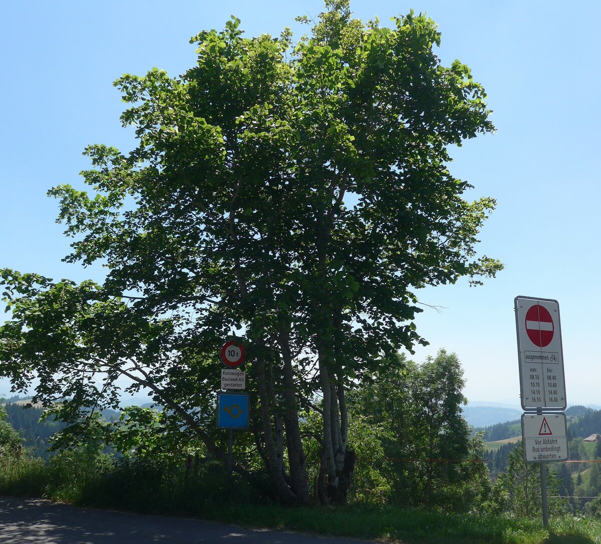 (206'889) - Bergpoststrasse und verschiedene Verkehrszeichen, die auf den Bus hinweisen am 30. Juni 2019 auf der L�derenalp