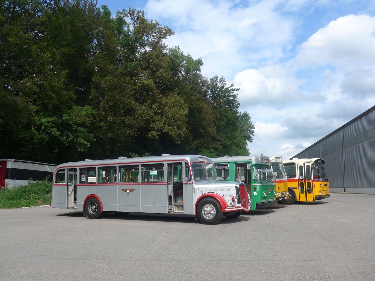 (209'265) - BSU Solothurn - Nr. 11/SO 20'727 - FBW/Hess am 1. September 2019 in Burgdorf, �kihof Ziegelgut
