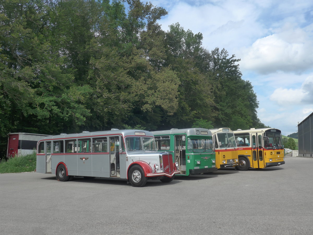 (209'266) - BSU Soltohurn - Nr. 11/SO 20'727 - FBW/Hess am 1. September 2019 in Burgdorf, �kihof Ziegelgut