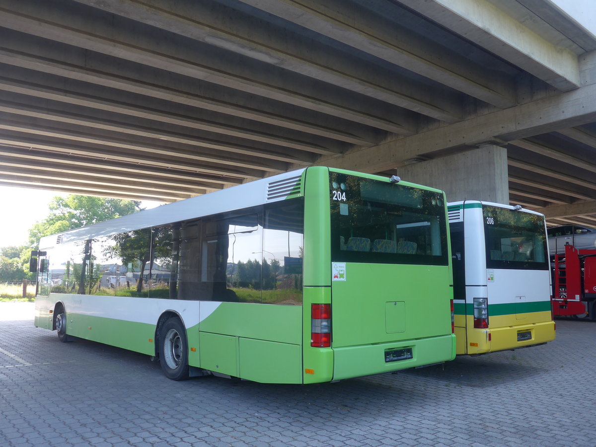(209'673) - transN, La Chaux-de-Fonds - Nr. 204 - MAN (ex TN Neuch�tel Nr. 204) am 15. September 2019 in Kerzers, Murtenstrasse