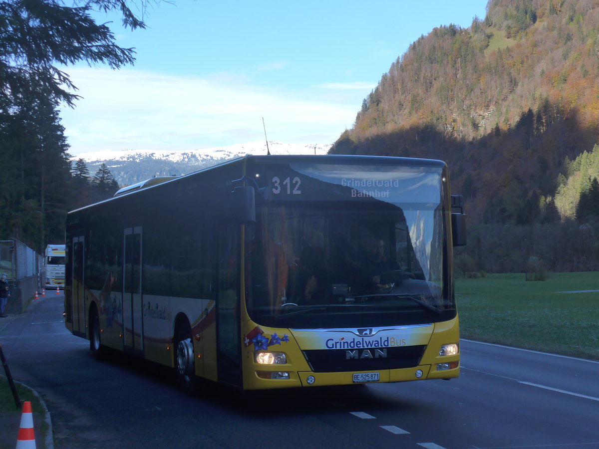 (211'004) - AVG Grindelwald - Nr. 15/BE 525'871 - MAN am 11. November 2019 in Zweil�tschinen, Abzweigung