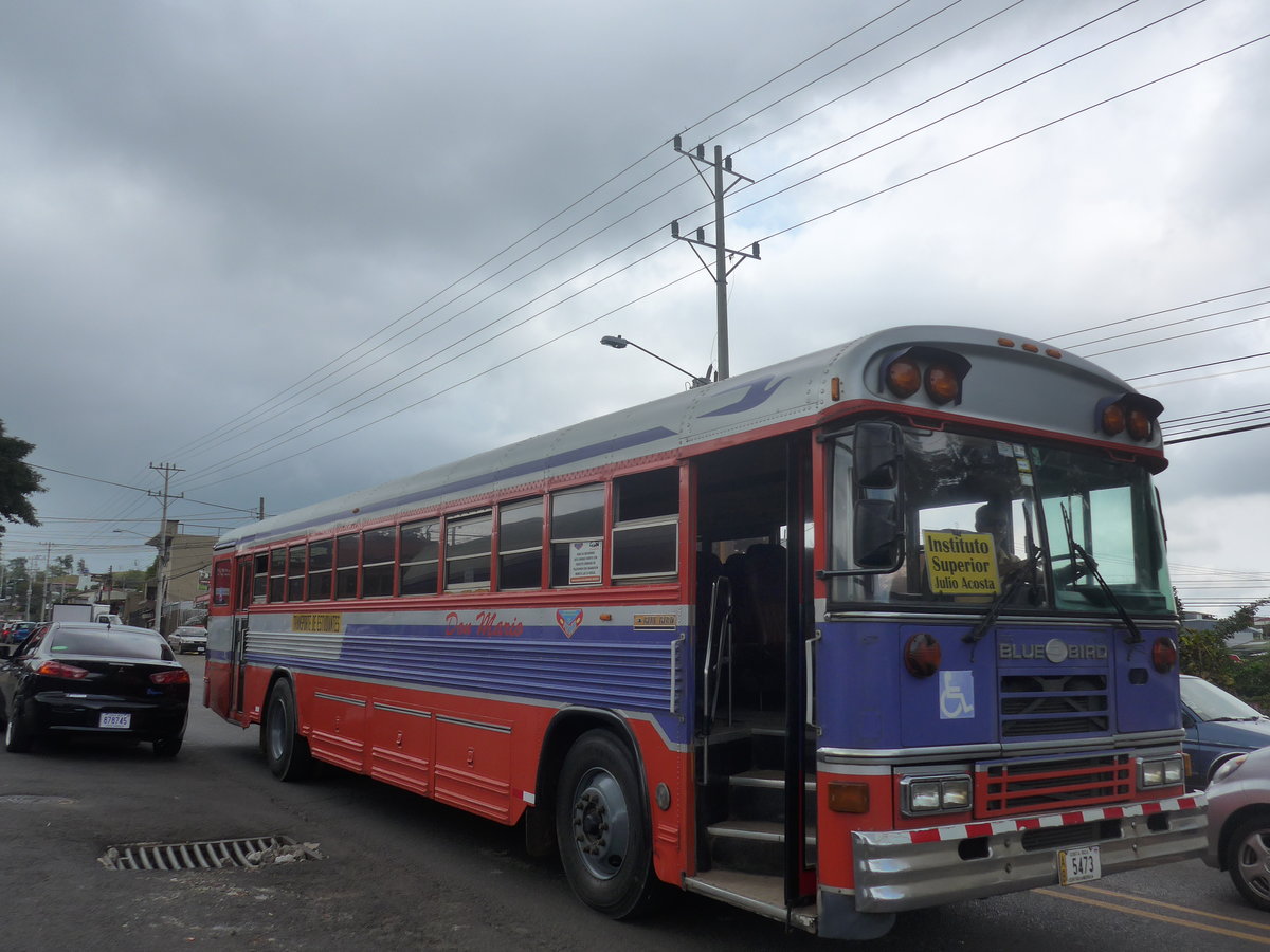(211'125) - Rojas, San Ram�n - 5473 - Bluebird am 13. November 2019 in San Ram�n
