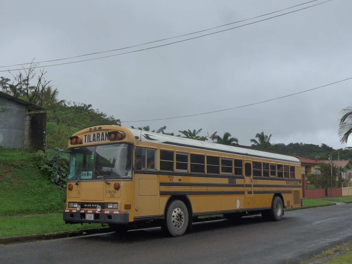 (211'314) - Transportes Tilar�n, Tilar�n - 2342 - Bluebird am 15. November 2019 in Nuevo Arenal