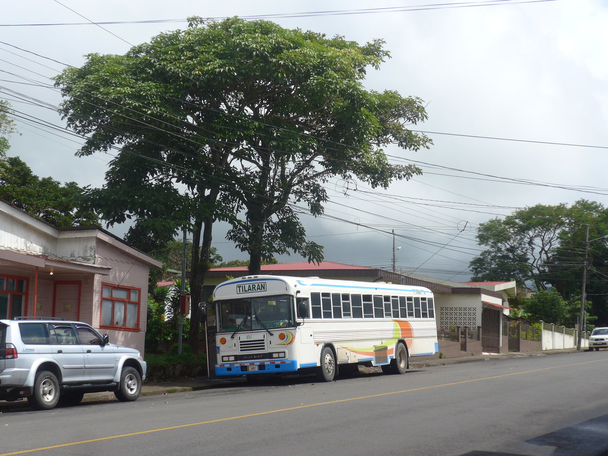(211'328) - Transportes Tilar�n, Tilar�n - 3491 - Bluebird am 15. November 2019 in Tilar�n