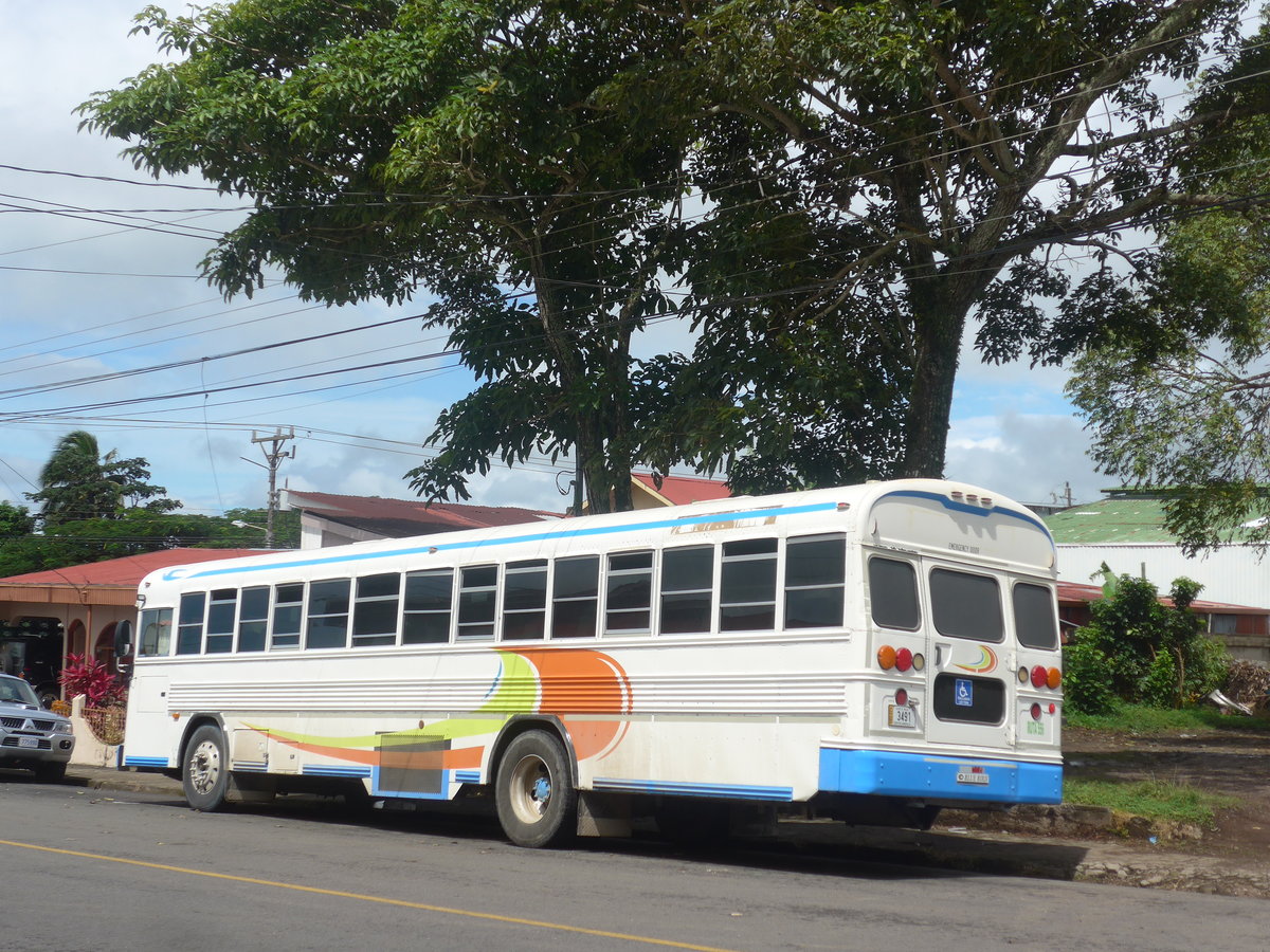 (211'330) - Transportes Tilar�n, Tilar�n - 3491 - Bluebird am 15. November 2019 in Tilar�n