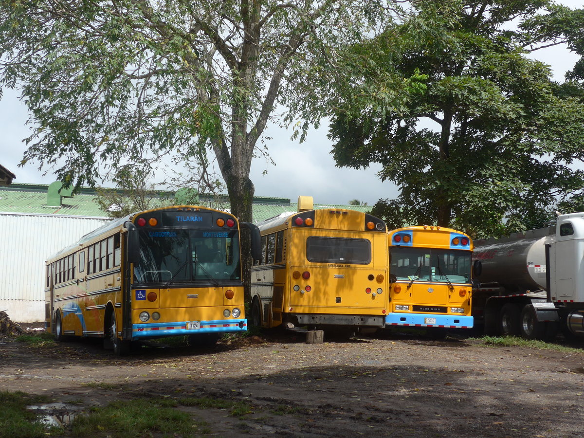(211'333) - Transportes Tilar�n, Tilar�n - 3124 - Thomas am 15. November 2019 in Tilar�n, Freigel�nde