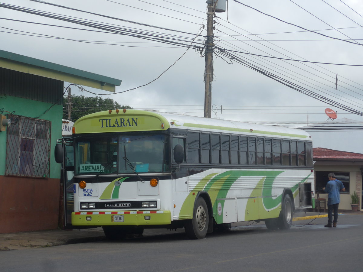 (211'840) - Transportes Tilar�n, Tilar�n - 3338 - Bluebird am 21. November 2019 in Tilar�n