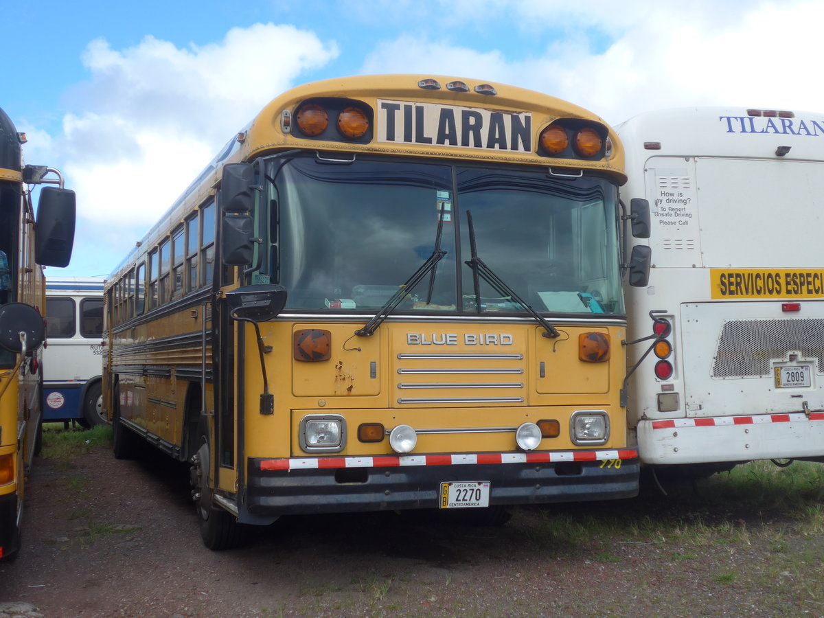 (211'843) - Transportes Tilar�n, Tilar�n - 2270 - Bluebird am 21. November 2019 in Tilar�n, Freigel�nde