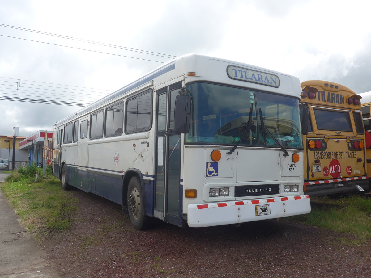 (211'844) - Transportes Tilar�n, Tilar�n - 2809 - Bluebird am 21. November 2019 in Tilar�n, Freigel�nde