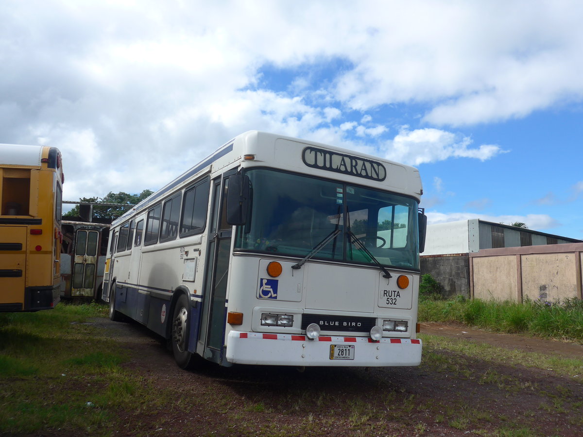 (211'846) - Transportes Tilar�n, Tilar�n - 2811 - Bluebird am 21. November 2019 in Tilar�n, Freigel�nde