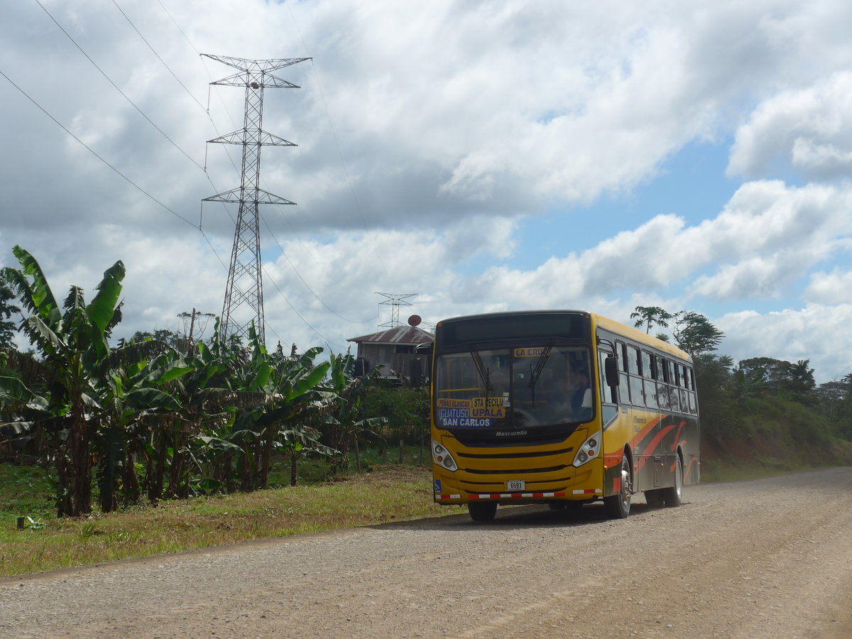 (212'204) - Transnorte de Upala, San Jos� - 6593 - Mascarello/VW am 23. November 2019 bei Brasilia