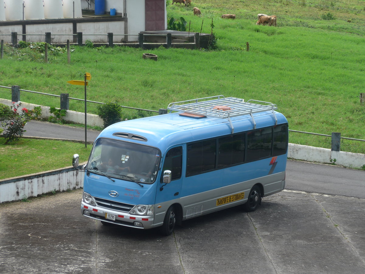 (212'302) - Transportes DJR - 15'795 - Hyundai am 24. November 2019 in Nuevo Arenal, Los H�roes