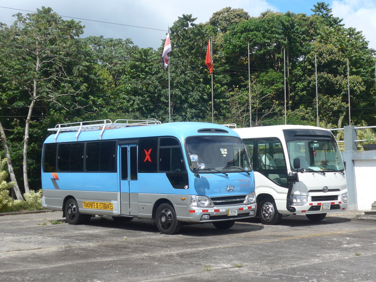 (212'307) - Transportes DJR - 15'795 - Hyundai am 24. November 2019 in Nuevo Arenal, Los H�roes