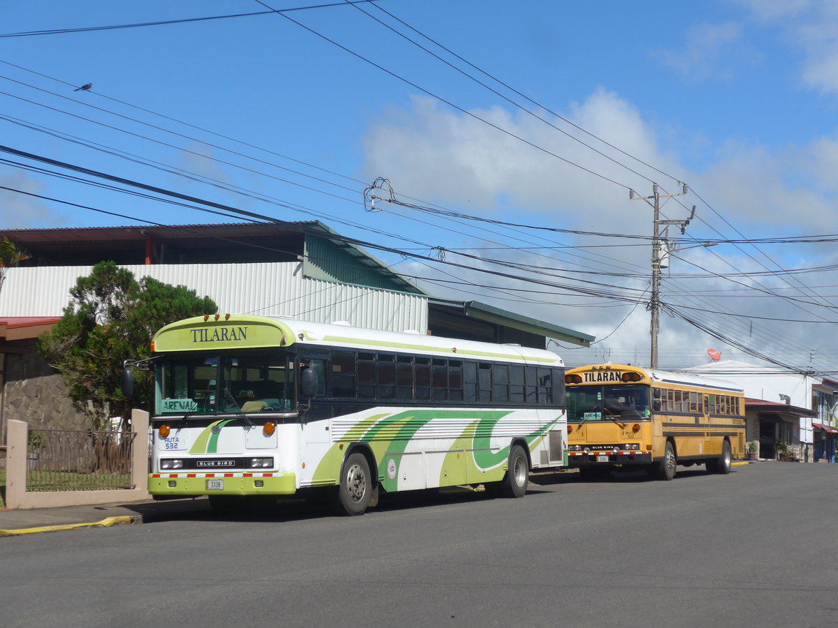 (212'471) - Transportes Tilar�n, Tilar�n - 3338 - Bluebird am 26. November 2019 in Tilar�n