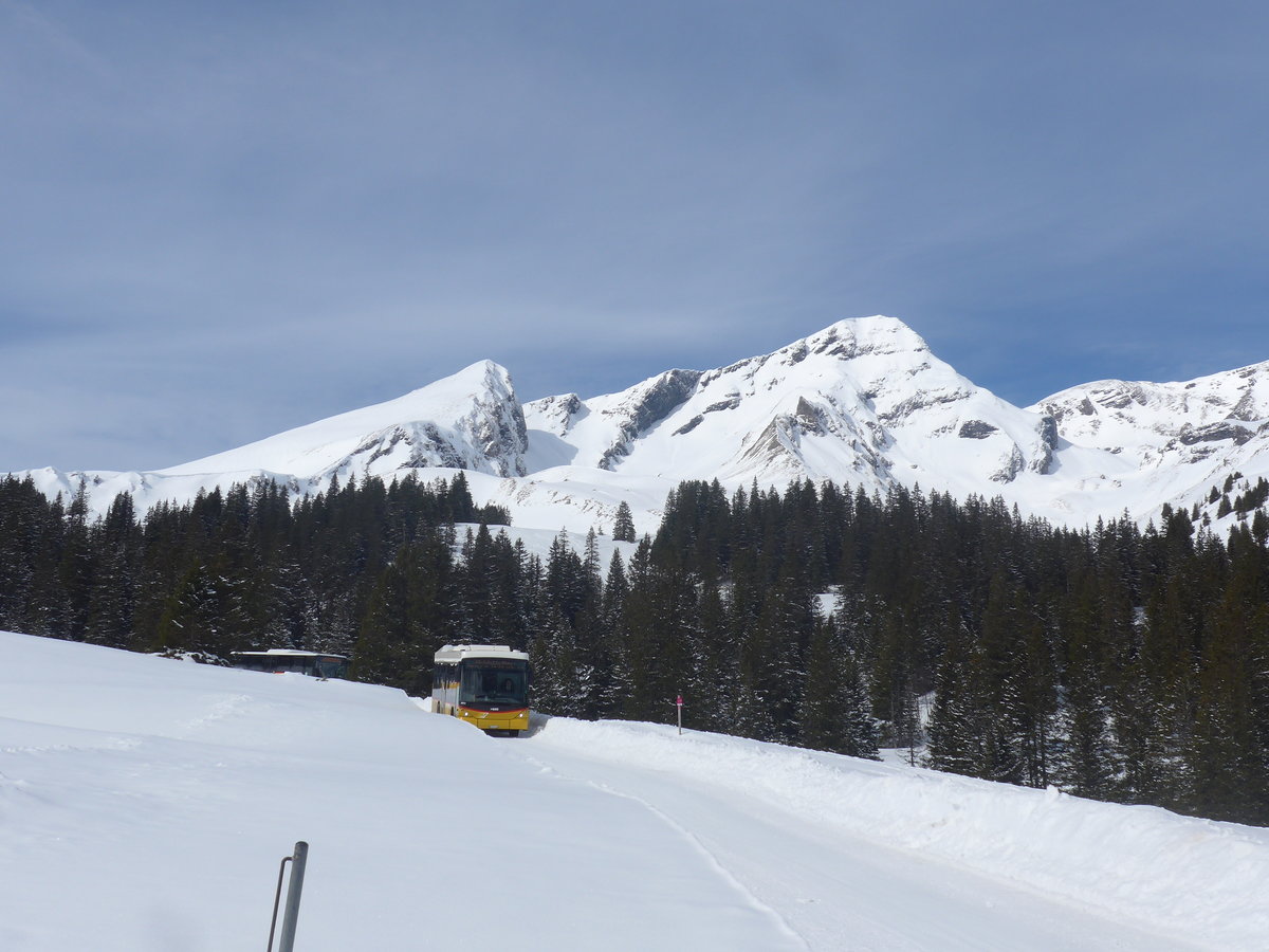 (215'075) - PostAuto Bern - BE 403'166 - Scania/Hess (ex AVG Meiringen Nr. 66; ex Steiner, Messen) am 8. M�rz 2020 in Grindelwald, Alpiglen