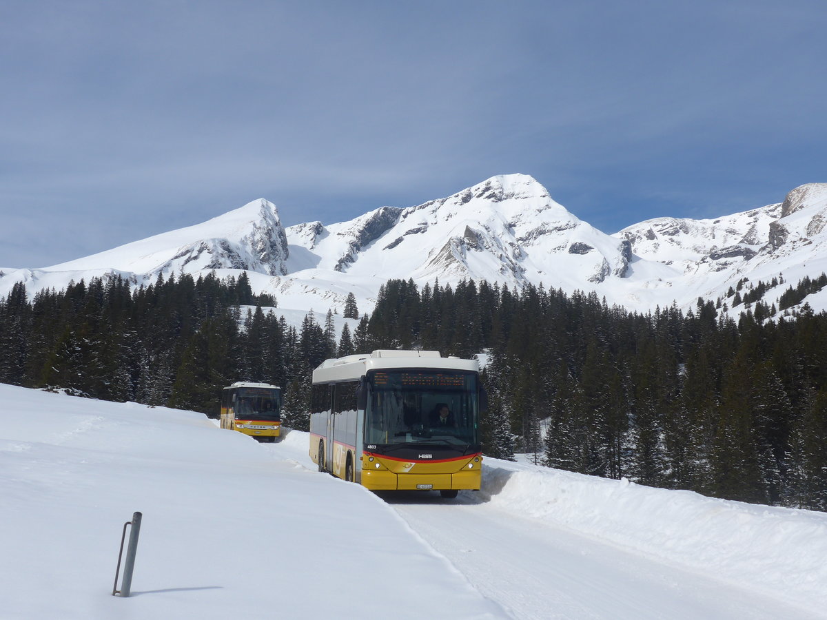 (215'076) - PostAuto Bern - BE 403'166 - Scania/Hess (ex AVG Meiringen Nr. 66; ex Steiner, Messen) am 8. M�rz 2020 in Grindelwald, Alpiglen