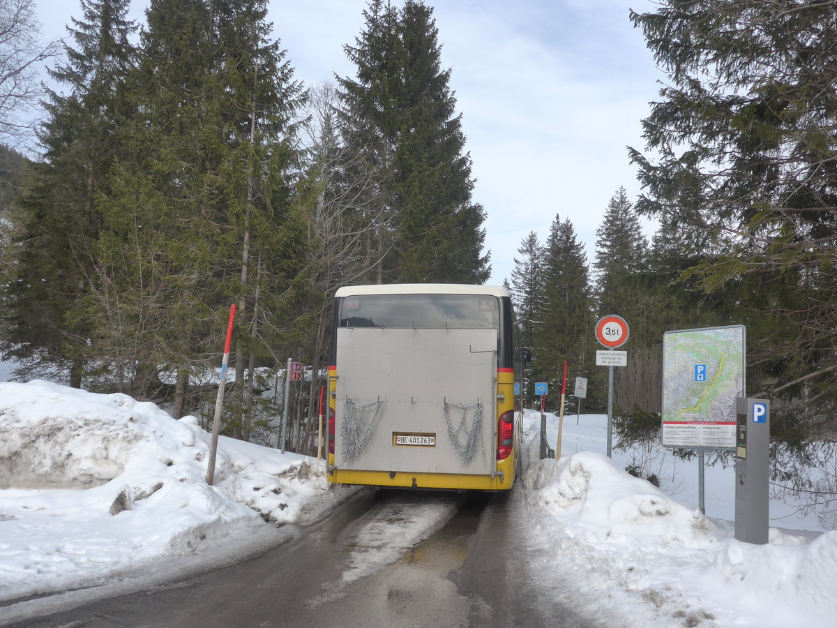 (215'096) - PostAuto Bern - BE 401'263 - Setra (ex AVG Meiringen Nr. 63) am 8. M�rz 2020 auf der Schwarzwaldalp