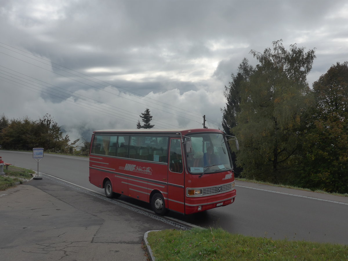 (221'808) - Biegger, Uster - Nr. 31/GL 1946 - Setra (ex AFA Adelboden Nr. 31; ex AFA Adelboden Nr. 10; ex Fr�hlich, Z�rich) am 12. Oktober 2020 in Gh�ch, Rest. Berg