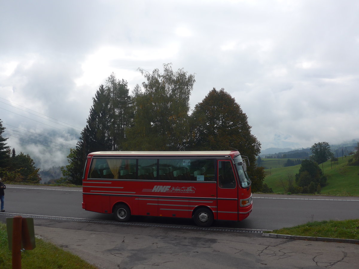(221'813) - Biegger, Uster - Nr. 31/GL 1946 - Setra (ex AFA Adelboden Nr. 31; ex AFA Adelboden Nr. 10; ex Fr�hlich, Z�rich) am 12. Oktober 2020 in Gh�ch, Rest. Berg