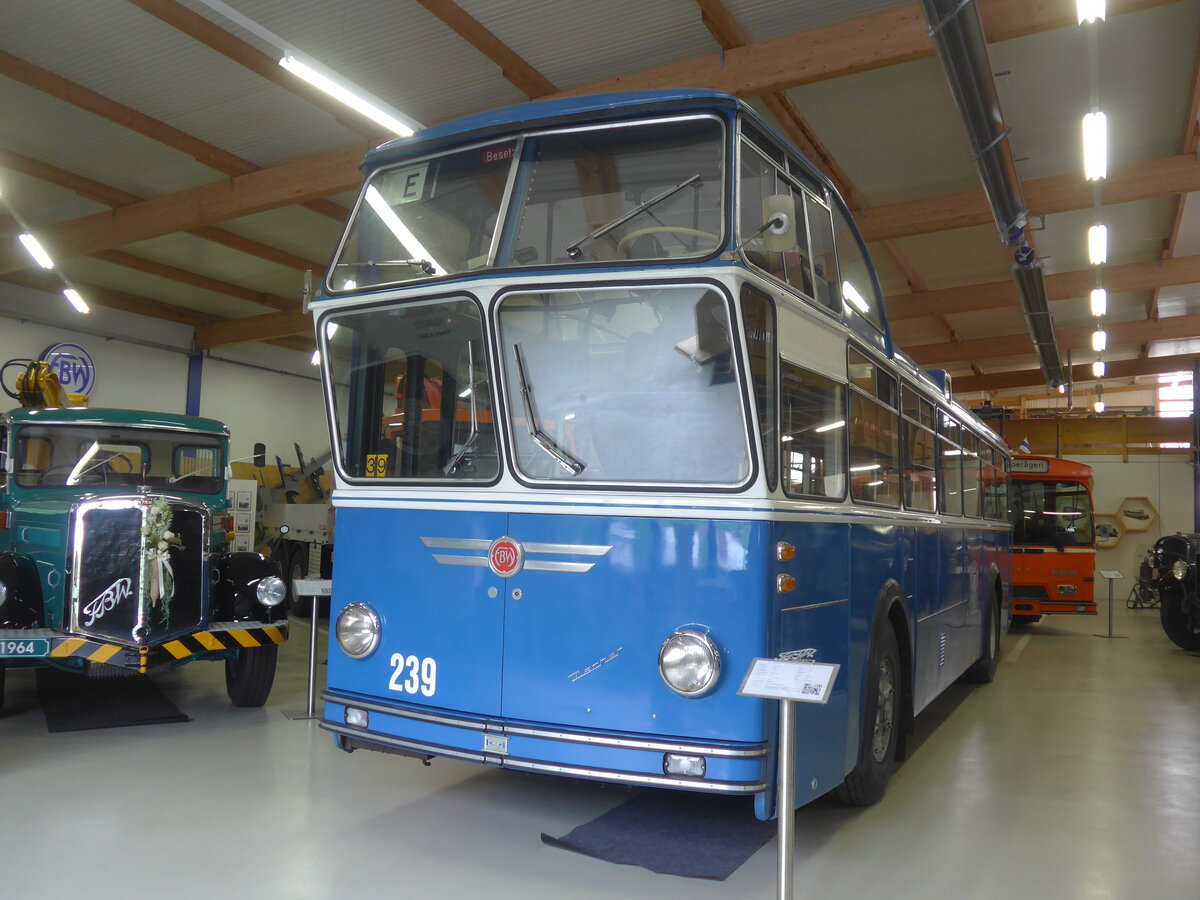 (225'793) - VBZ Z�rich (FBW-Club) - Nr. 239 - FBW/T�scher Hochlenker (ex Kamm, Schlieren; ex VBZ Z�rich Nr. 239; ex VBZ Z�rich Nr. 219) am 6. Juni 2021 in Wetzikon, FBW-Museum