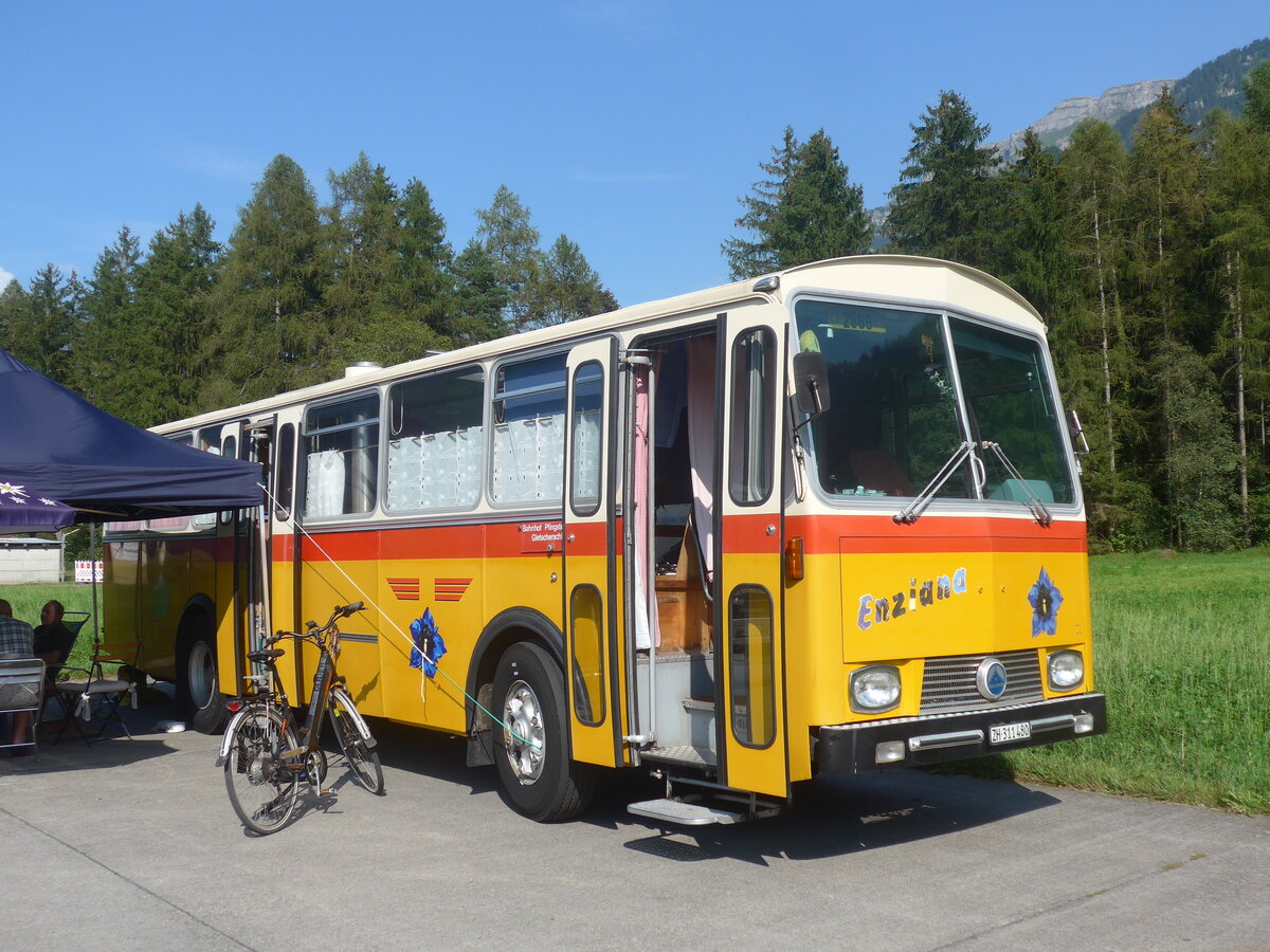 (227'487) - G�hwiler, Birmensdorf - ZH 311'480 - Saurer/T�scher (ex AVG Grindelwald Nr. 12; ex Steiger, Schlatt) am 21. August 2021 in Interlaken, Flugplatz