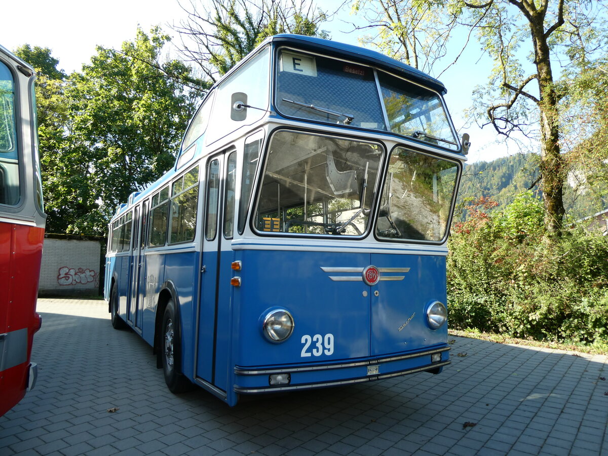 (228'524) - VBZ Z�rich (FBW-Club) - Nr. 239 - FBW/T�scher Hochlenker (ex Kamm, Schlieren; ex VBZ Z�rich Nr. 239; ex VBZ Z�rich Nr. 219) am 2. Oktober 2021 in N�fels, FBW-Museum