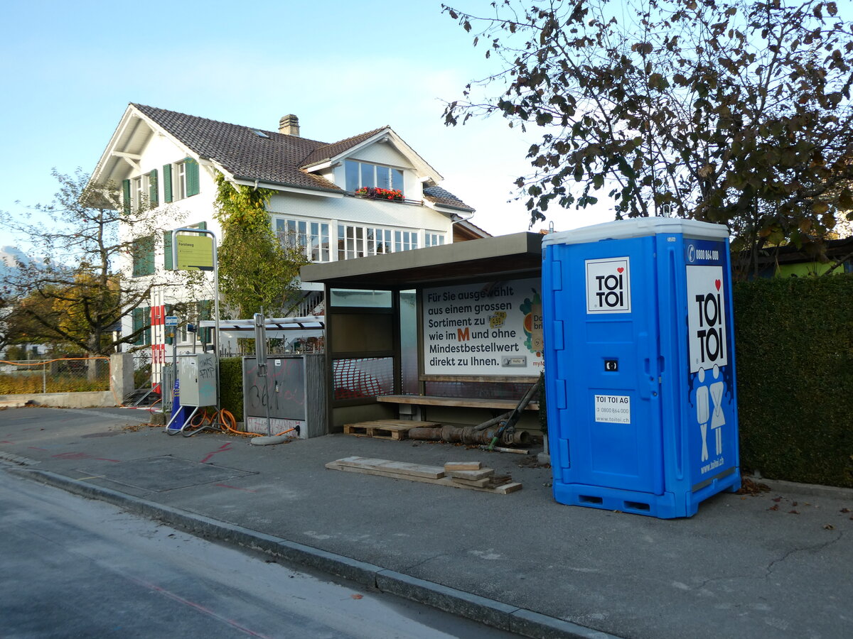 (229'808) - STI-Haltestelle am 24. Oktober 2021 in Thun-Lerchenfeld, Forstweg (w�hrend dem Umbau)