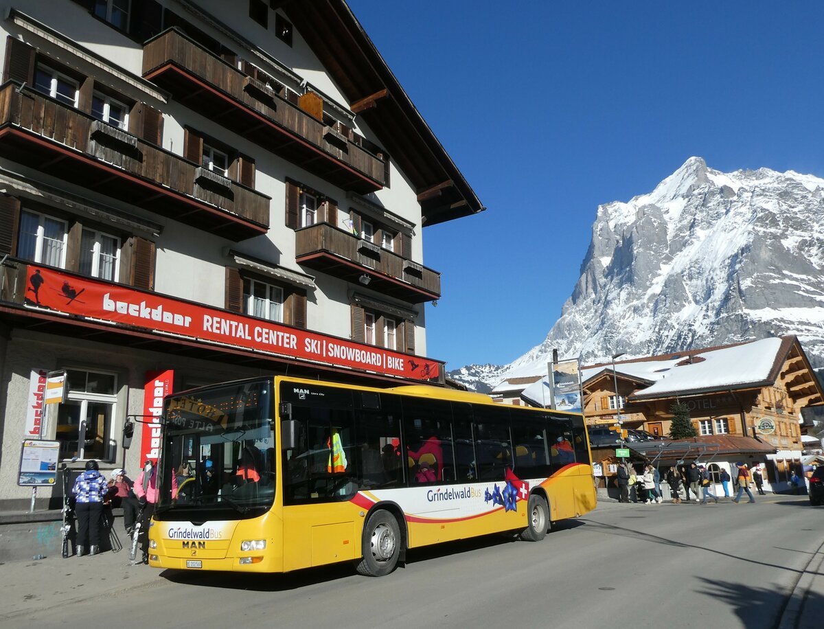 (233'286) - Grindelwaldbus, Grindelwald - Nr. 14/BE 202'568 - MAN/G�ppel am 27. Februar 2022 in Grindelwald, Firstbahn