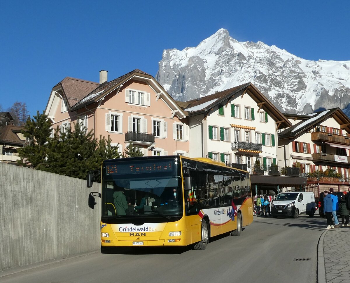 (233'310) - Grindelwaldbus, Grindelwald - Nr. 14/BE 202'568 - MAN/G�ppel am 27. Februar 2022 in Grindelwald, Sportzentrum