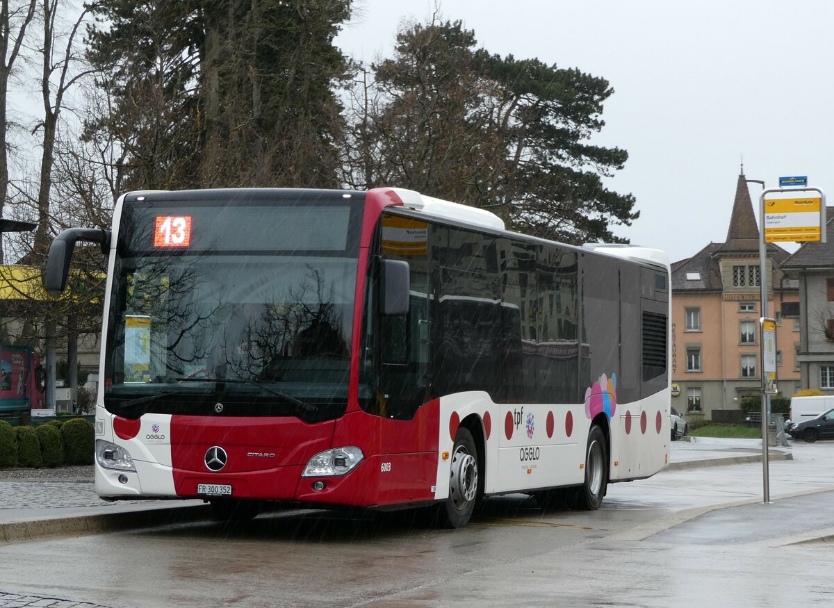 (234'220) - TPF Fribourg - Nr. 6003/FR 300'352 - Mercedes am 8. April 2022 beim Bahnhof D�dingen