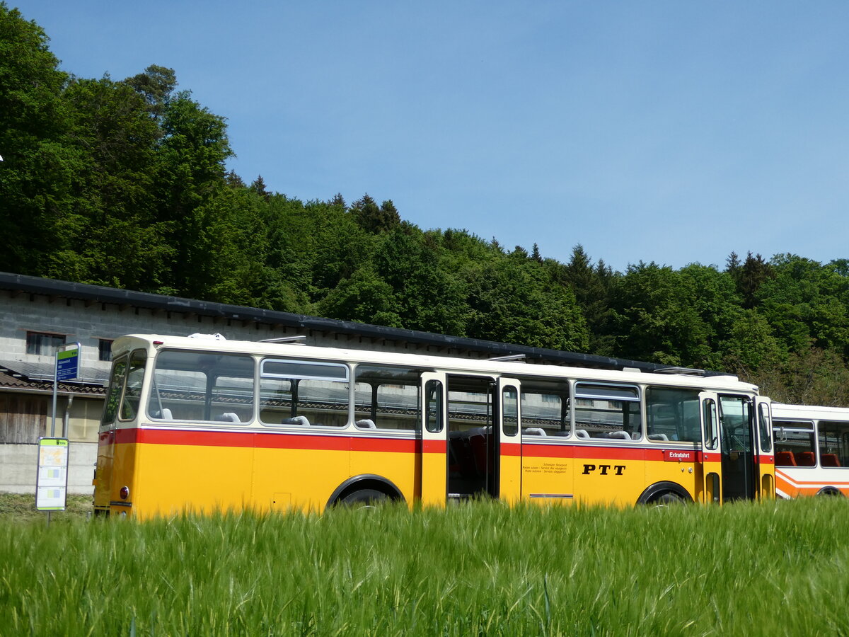 (235'677) - Gast, Reutigen - BE 113'160 - Saurer/T�scher (ex HPTrans, Thusis; ex Mauerhofer, Worb; ex Erni, Schupfart Nr. 3) am 15. Mai 2022 in Alchenstorf, Wil
