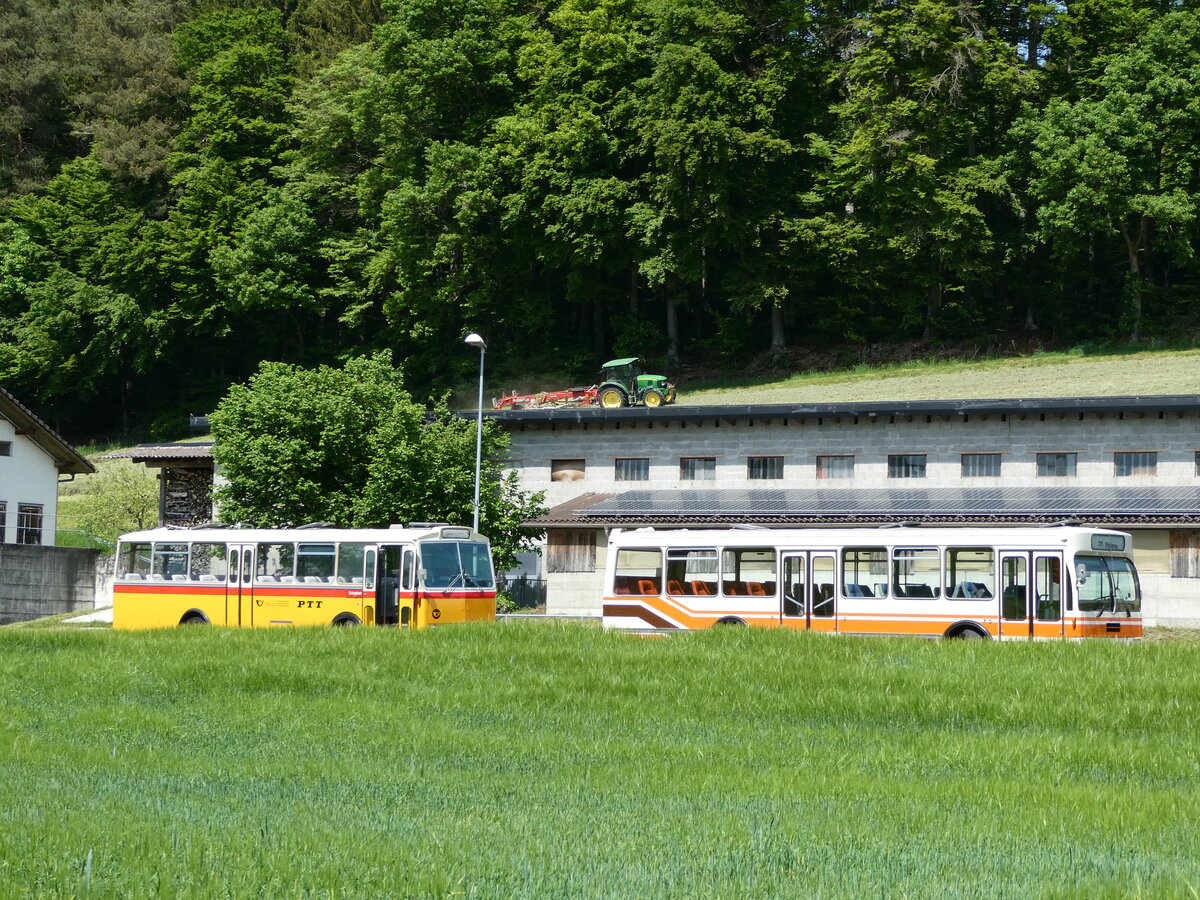 (235'683) - Gast, Reutigen - BE 113'160 - Saurer/T�scher (ex HPTrans, Thusis; ex Mauerhofer, Worb; ex Erni, Schupfart Nr. 3; ex P 24'636) + Wegm�ller, M�nsingen - BE 399'675 - FBW/R&J (ex Bamert, Wollerau) am 15. Mai 2022 in Alchenstorf, Wil