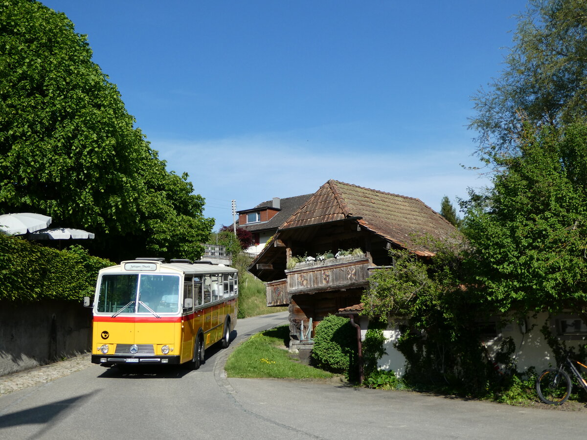 (235'720) - Gast, Reutigen - BE 113'160 - Saurer/T�scher (ex HPTrans, Thusis; ex Mauerhofer, Worb; ex Erni, Schupfart Nr. 3; ex P 24'636) am 15. Mai 2022 in Heimiswil, L�wen
