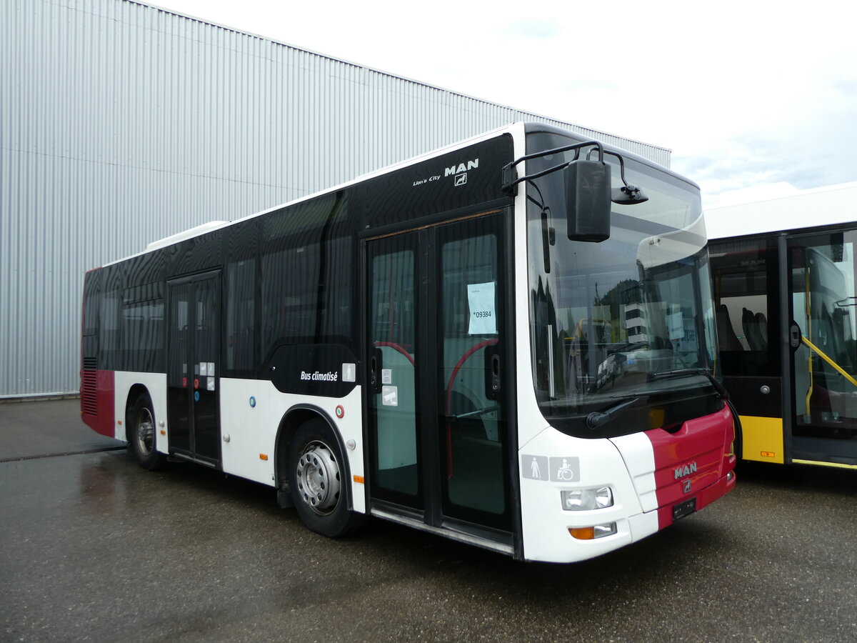 (236'834) - TPF Fribourg - Nr. 350 - MAN/G�ppel am 5. Juni 2022 in Winterthur, EvoBus