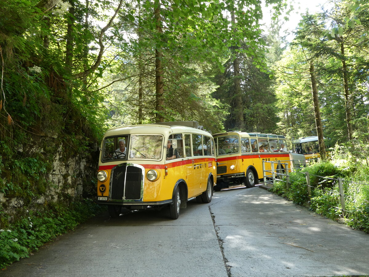 (237'692) - Schmid, Th�rishaus - Nr. 3/BE 26'760 - Saurer/Gangloff (ex Geiger, Adelboden Nr. 3) am 26. Juni 2022 in Kiental, Tschingel